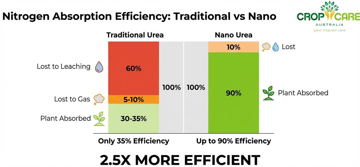 Absorption efficiency comparison chart showing conventional fertilizer losses vs foliar delivery
